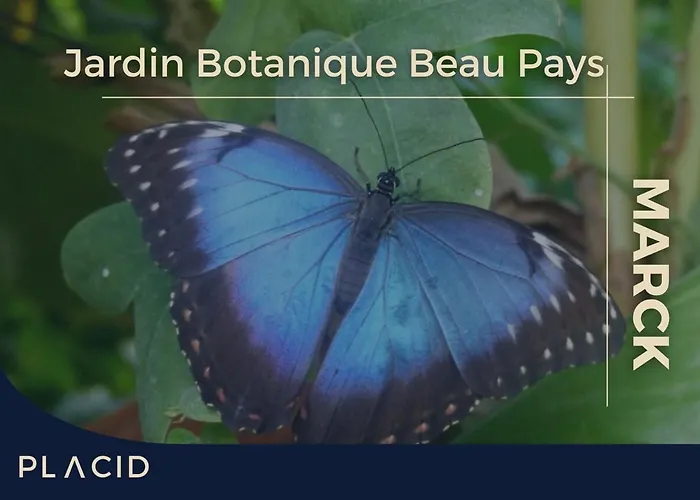 La Baraque De Papi - Private Garden 3* Marck